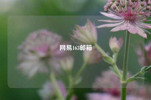 网易163邮箱