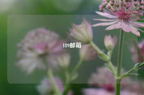 189邮箱