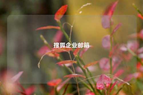 搜狐企业邮箱