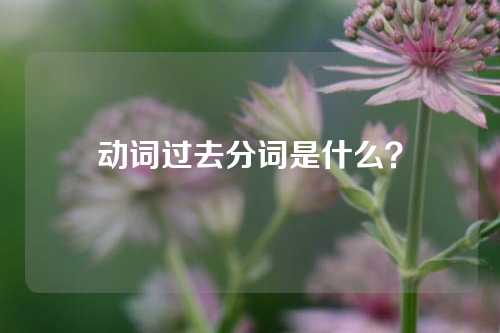 动词过去分词是什么？