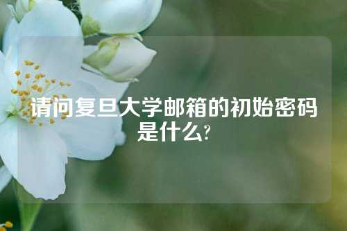 请问复旦大学邮箱的初始密码是什么?