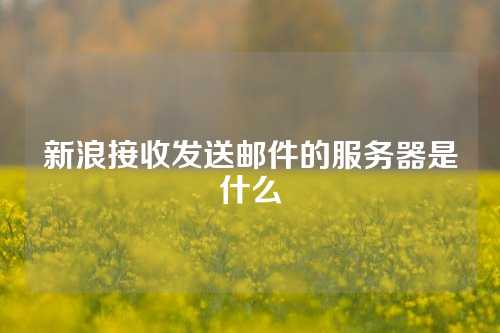 新浪接收发送邮件的服务器是什么