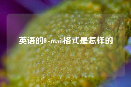 英语的E-mail格式是怎样的