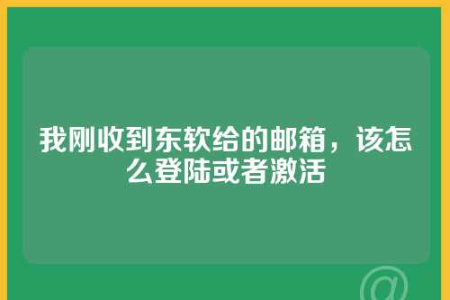 我刚收到东软给的邮箱，该怎么登陆或者激活