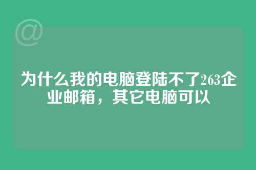 为什么我的电脑登陆不了263企业邮箱，其它电脑可以