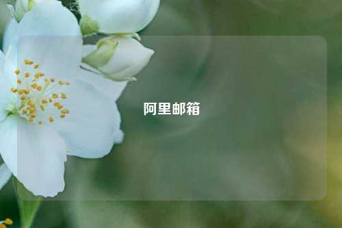 阿里邮箱