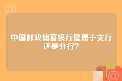 中国邮政储蓄银行是属于支行还是分行？