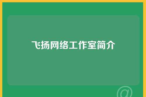飞扬网络工作室简介